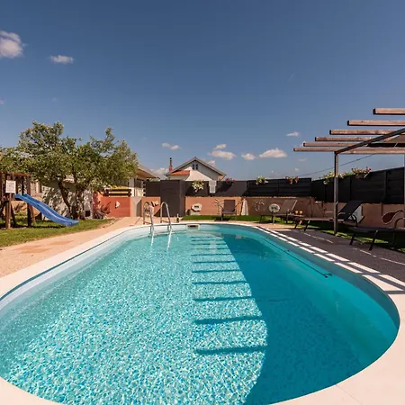 Dandelion Zadarvillas