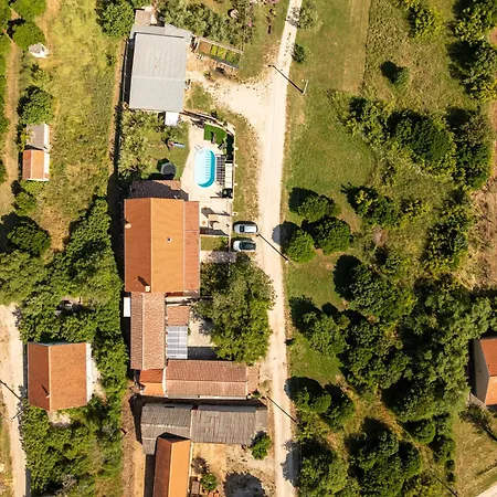 Dandelion Zadarvillas *