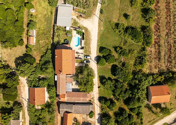 Dandelion Zadarvillas *